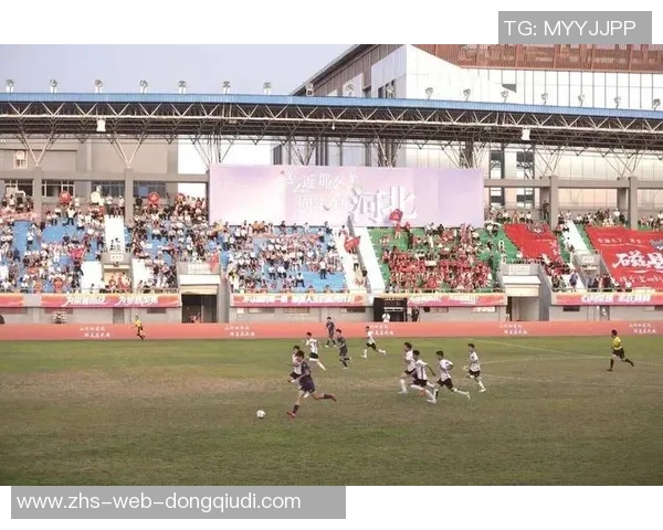 我心中的足球与梦想交织的旅程与激情的追逐